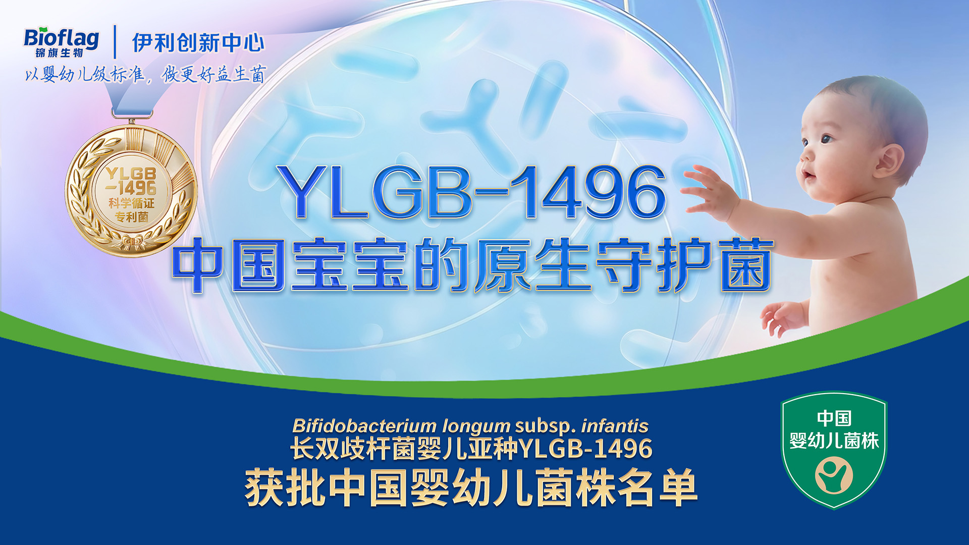 雙冠加冕！YLGB-1496獲嬰幼兒菌株認證，錦旗生物引領國產益生菌新高度